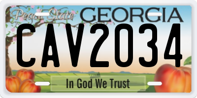 GA license plate CAV2034