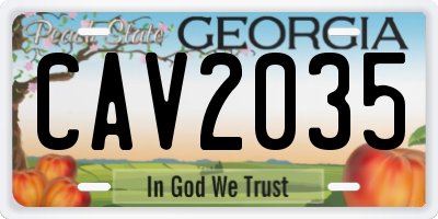 GA license plate CAV2035