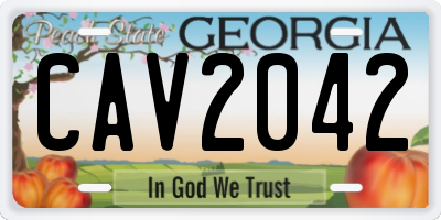 GA license plate CAV2042