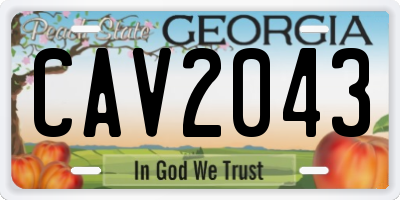 GA license plate CAV2043