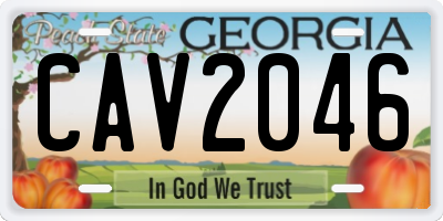 GA license plate CAV2046