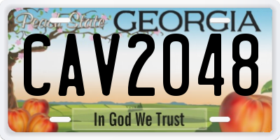 GA license plate CAV2048