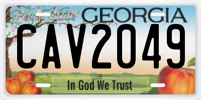 GA license plate CAV2049