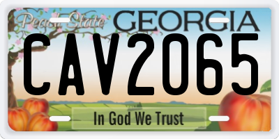 GA license plate CAV2065