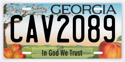 GA license plate CAV2089