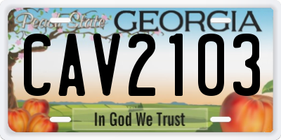 GA license plate CAV2103
