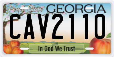 GA license plate CAV2110