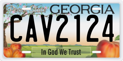 GA license plate CAV2124