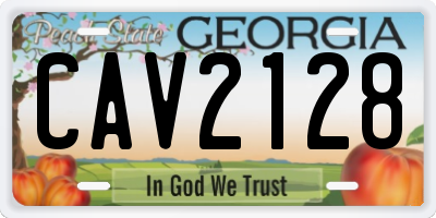GA license plate CAV2128