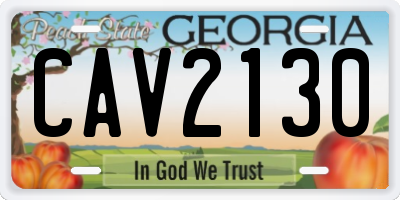 GA license plate CAV2130