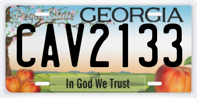 GA license plate CAV2133