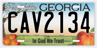 GA license plate CAV2134