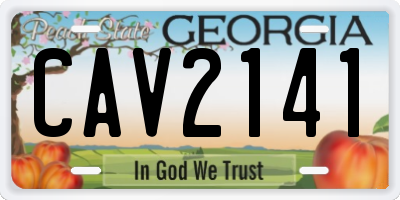 GA license plate CAV2141