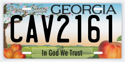 GA license plate CAV2161