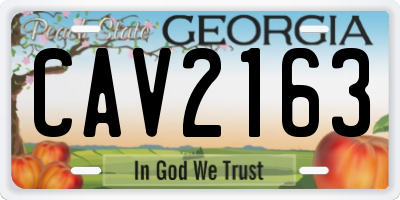 GA license plate CAV2163