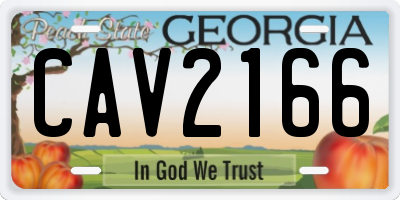 GA license plate CAV2166