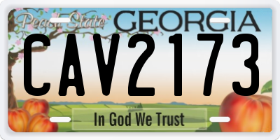 GA license plate CAV2173