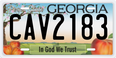 GA license plate CAV2183