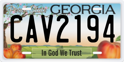 GA license plate CAV2194
