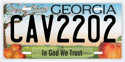 GA license plate CAV2202