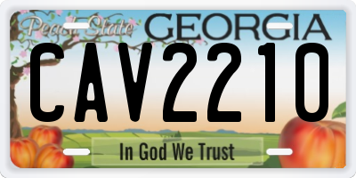 GA license plate CAV2210