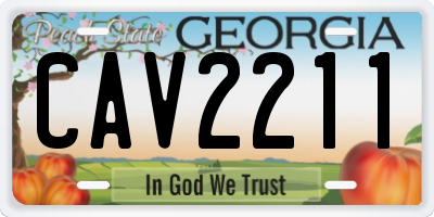 GA license plate CAV2211