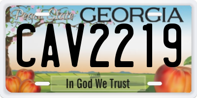 GA license plate CAV2219