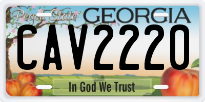 GA license plate CAV2220