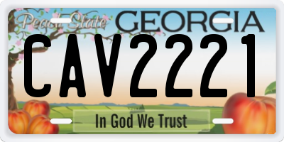 GA license plate CAV2221