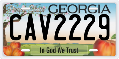 GA license plate CAV2229