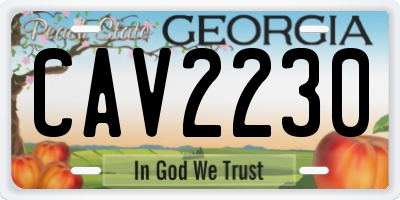GA license plate CAV2230