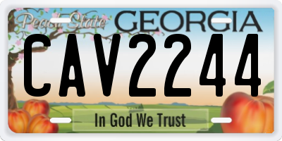GA license plate CAV2244