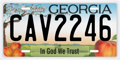 GA license plate CAV2246