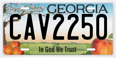 GA license plate CAV2250
