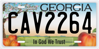 GA license plate CAV2264