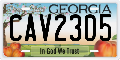 GA license plate CAV2305
