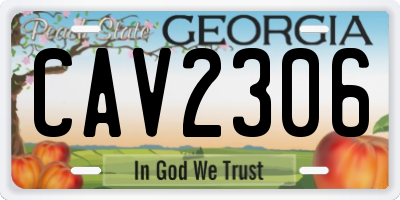 GA license plate CAV2306