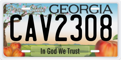 GA license plate CAV2308