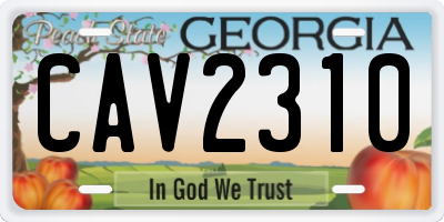 GA license plate CAV2310