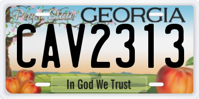 GA license plate CAV2313