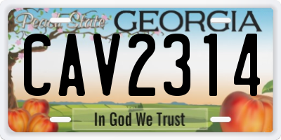 GA license plate CAV2314