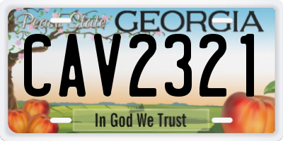 GA license plate CAV2321