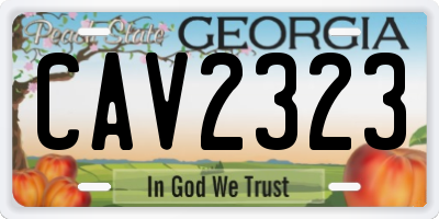 GA license plate CAV2323