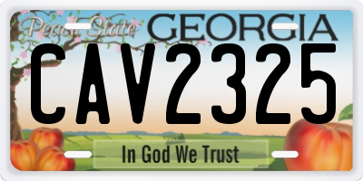 GA license plate CAV2325