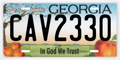GA license plate CAV2330