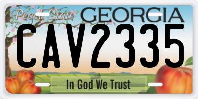 GA license plate CAV2335