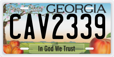 GA license plate CAV2339