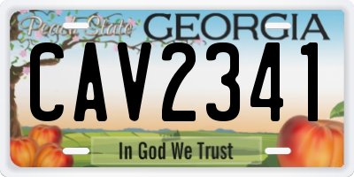 GA license plate CAV2341