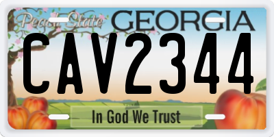 GA license plate CAV2344