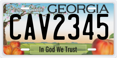 GA license plate CAV2345
